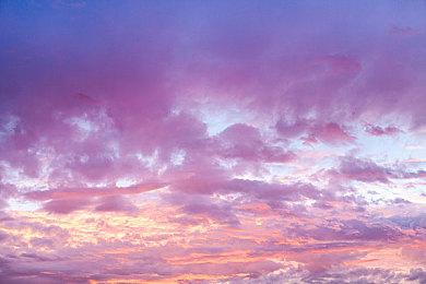 泄露数据指出下个月将举行“宝可梦 Presents”直播活动